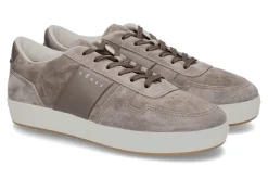 New Herren- Sneaker ALLACCIATO FASCIA LOGO- taupe Herren Sneakers