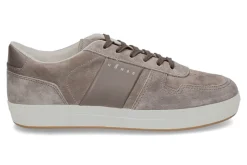 New Herren- Sneaker ALLACCIATO FASCIA LOGO- taupe Herren Sneakers