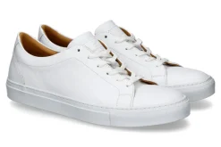 Best Herren-Sneaker TENNIS GOLFGRAIN RIND- weiss Herren Sneakers