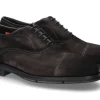 Clearance Oxford VELOURS VINTAGE BLACK/GREY- schwarz/ Grau Herren Schnürer