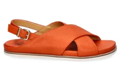 Online Sandale CERVO ARANCIO Damen Sandalen