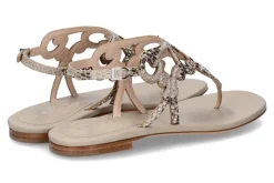 Best Sandale PITONE ROCCIA Damen Sandalen